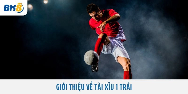 Giới thiệu về Tài Xỉu 1 Trái