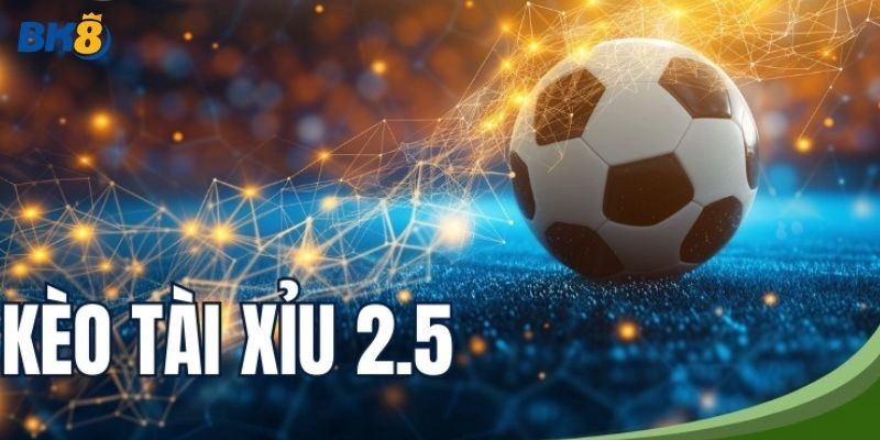 Ý nghĩa mức cược tài xỉu 2.5  