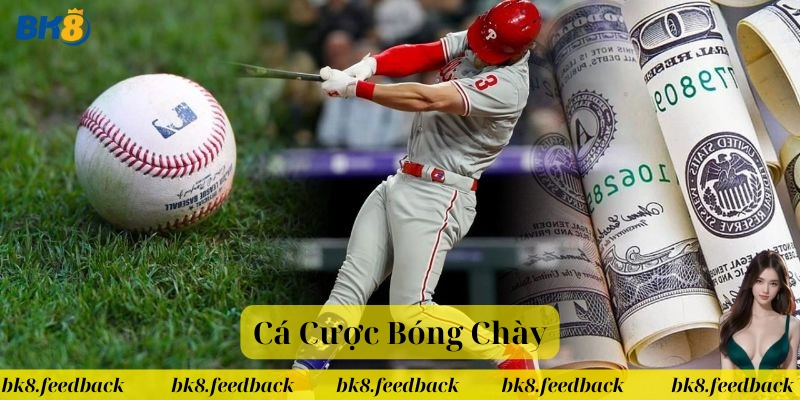 Cá Cược Bóng Chày có gì đặc biệt