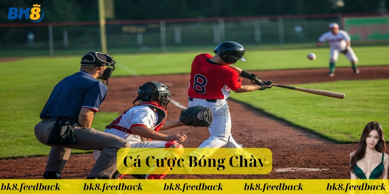 Cá Cược Bóng Chày là gì? 