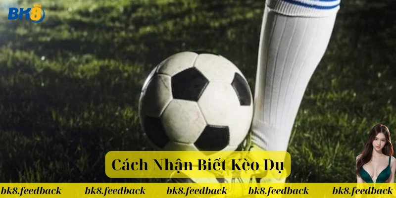 Cách Nhận Biết Kèo Dụ là gì? 