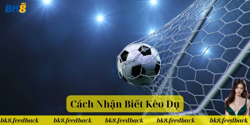 Mẹo hay trong Cách Nhận Biết Kèo Dụ