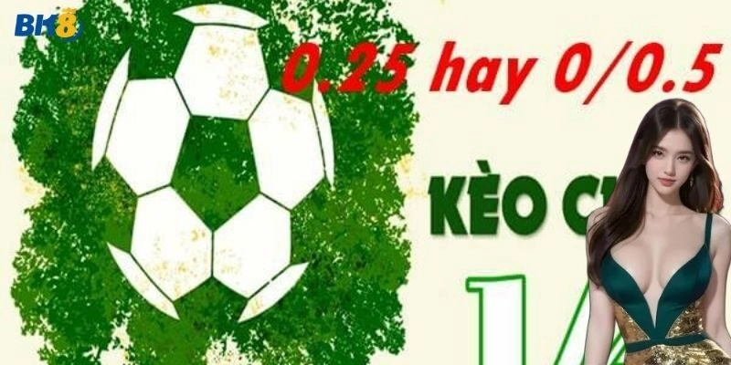 Bắt kèo 0/0.5 thắng lớn từ chuyên gia
