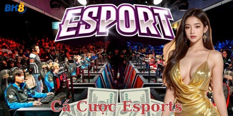 Cá cược Esports – Bí kíp đặt kèo đỉnh cao cho dân chơi