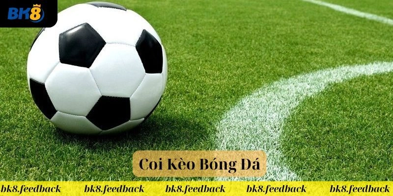 Coi kèo bóng đá chuẩn đem lại nhiều lợi thế