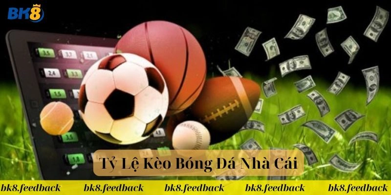 Tỷ Lệ Kèo Bóng Đá Nhà Cái BK8: Cập Nhật Và Phân Tích Chuẩn!